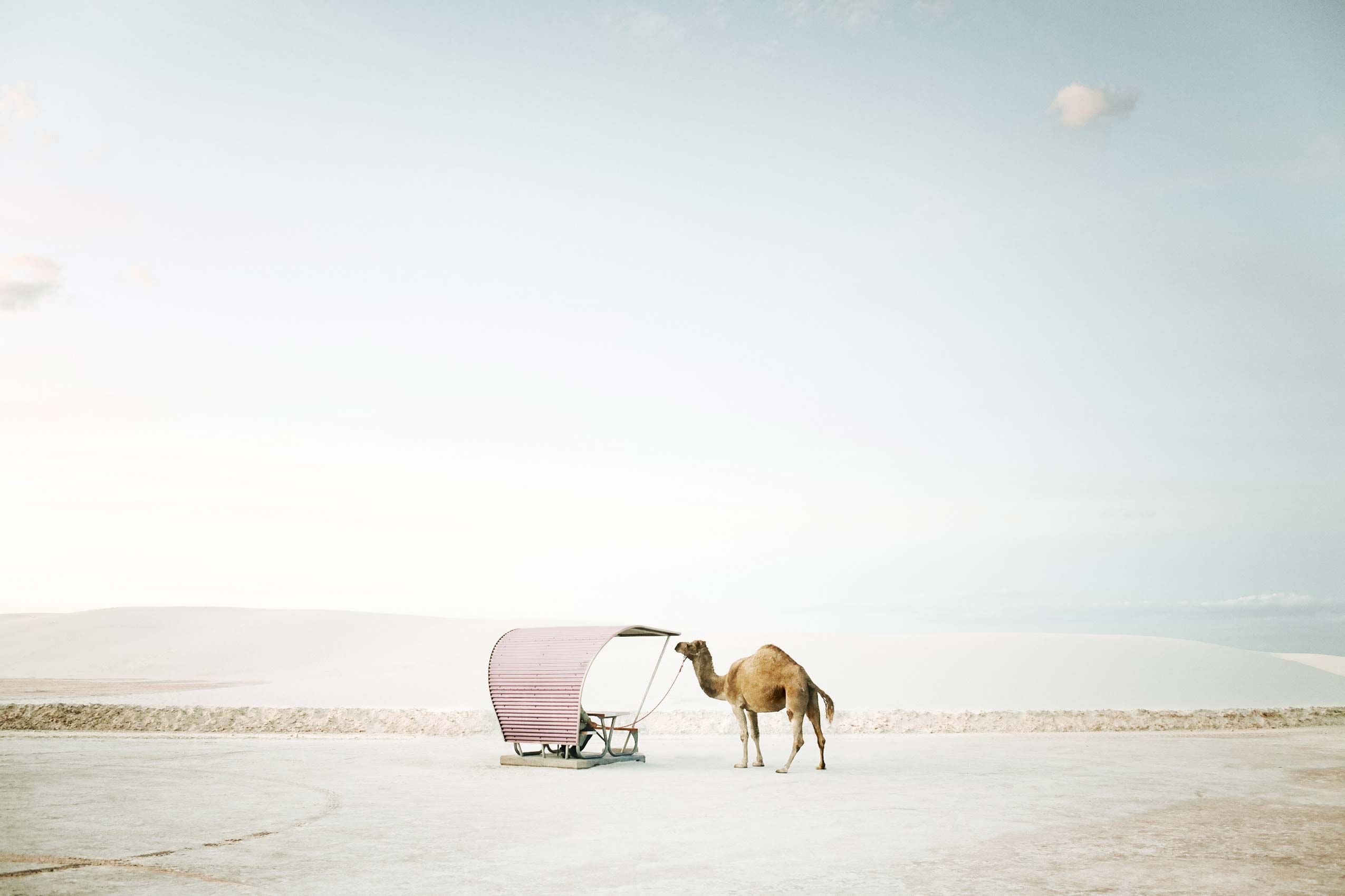 01WhiteSands