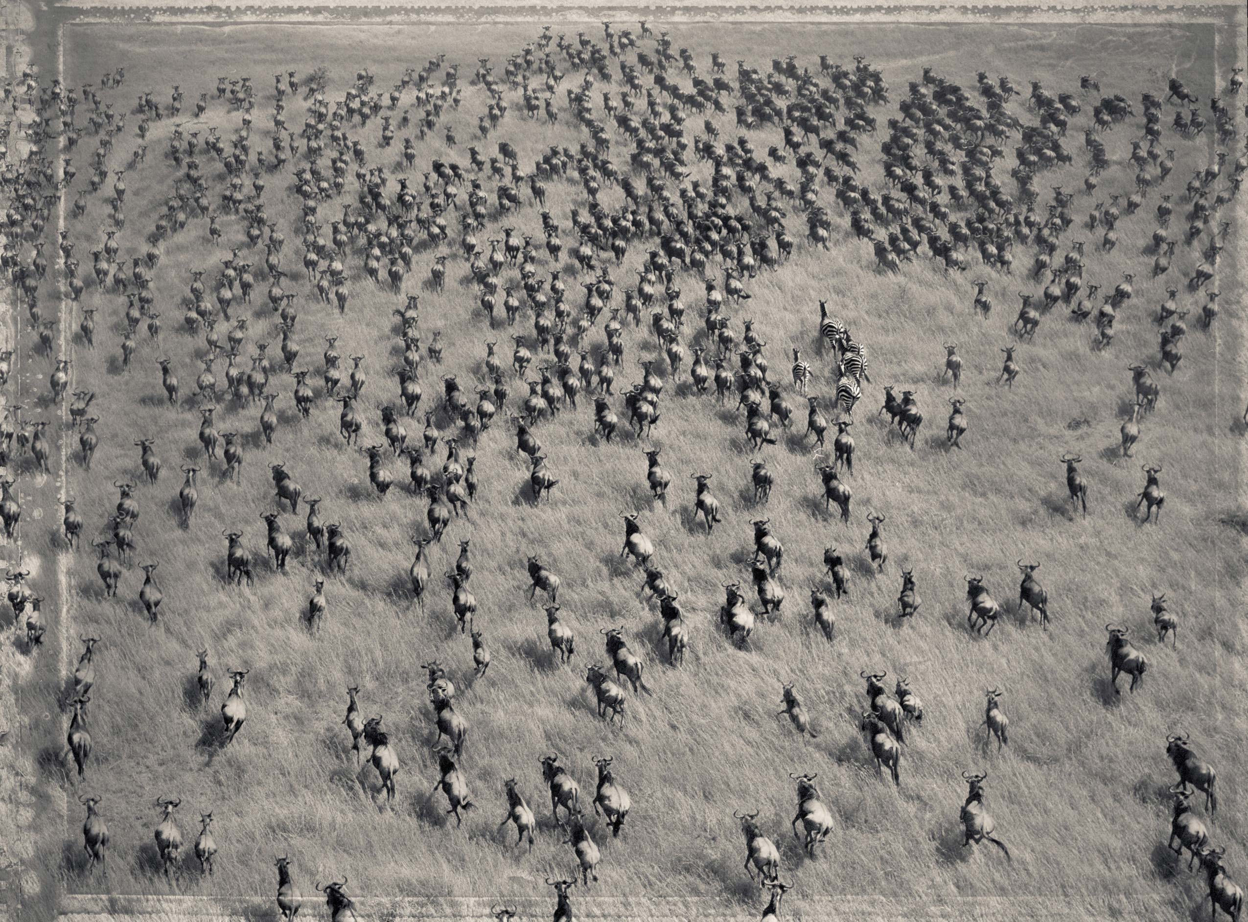 02Tanzania