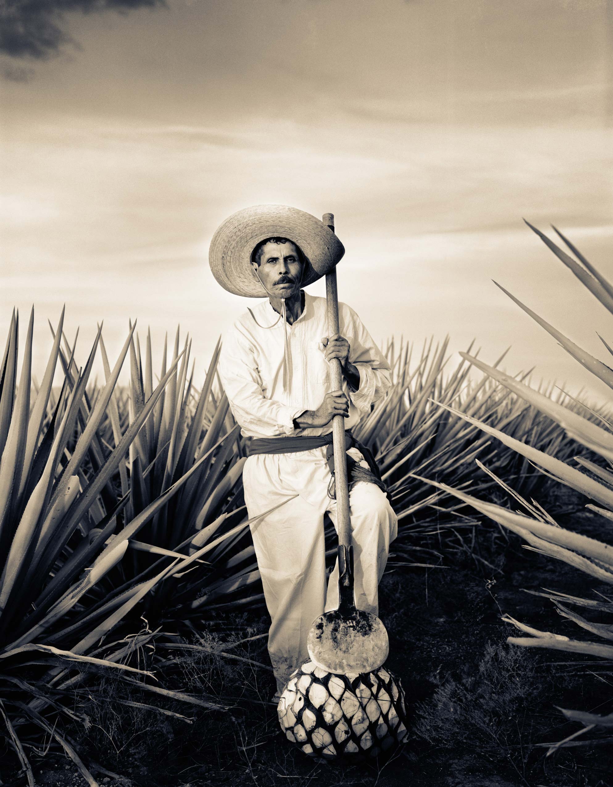 16Tequila