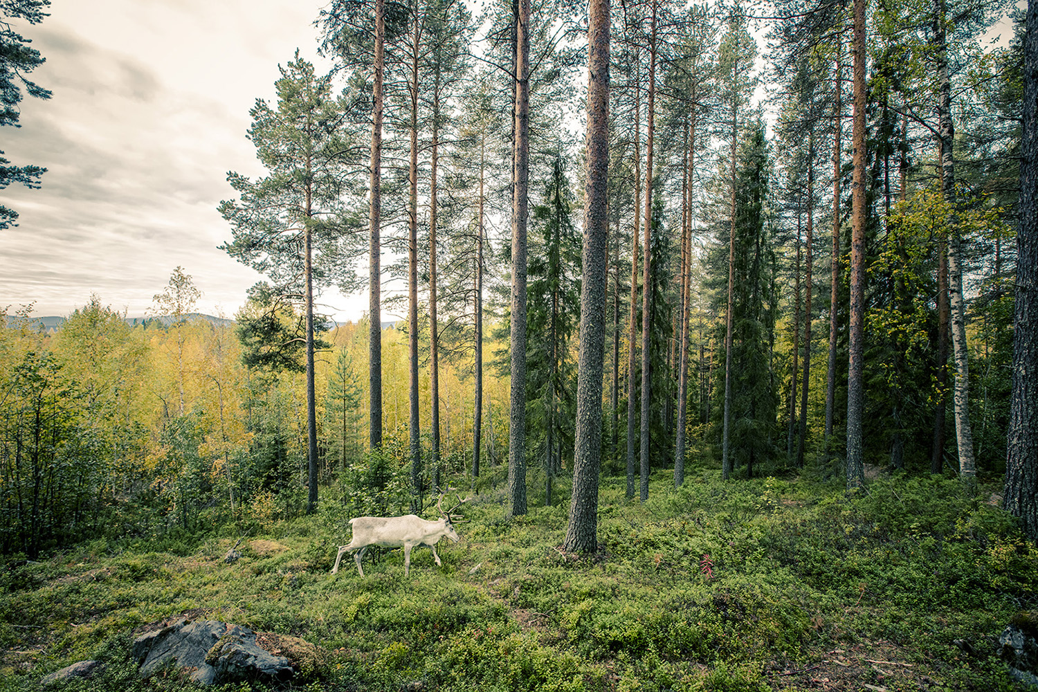 27Landscapes-Travel