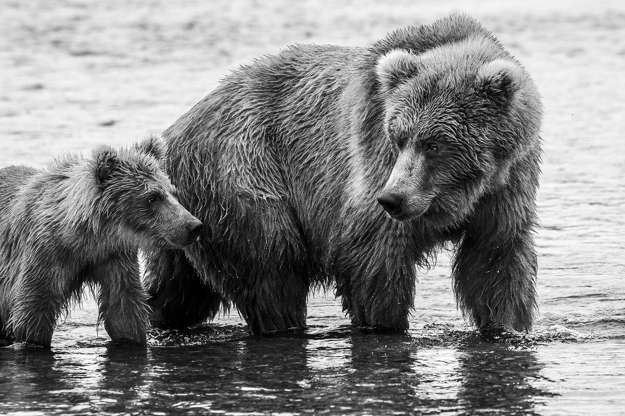 4-Alaska_200707_DSC03553_BW