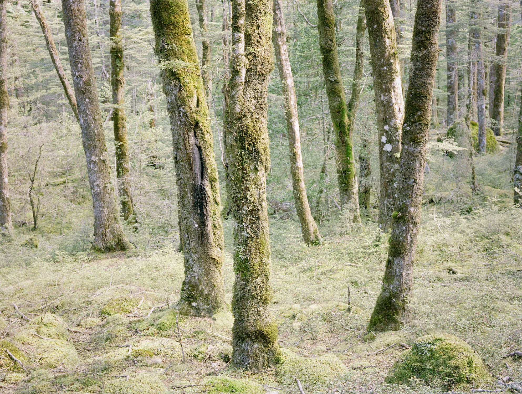 40Landscapes-Travel